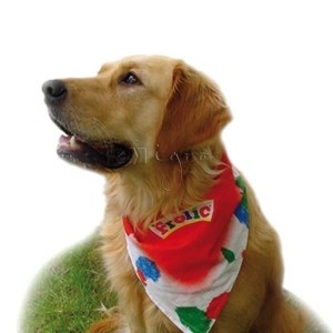 Promotional dog scarf with logo printing