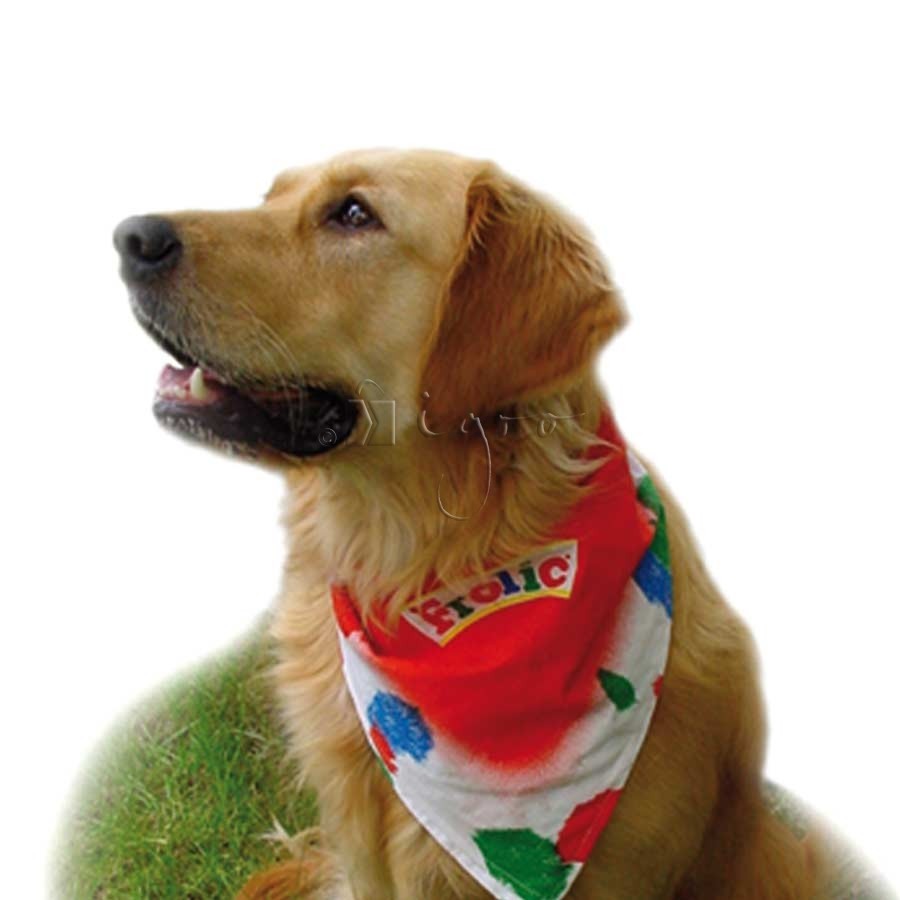 Dog bandana with logo print