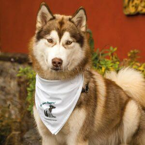 Hundehalstuch Hundebandana