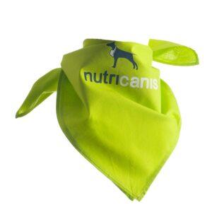 Hundehalstuch mit Firmenlogo