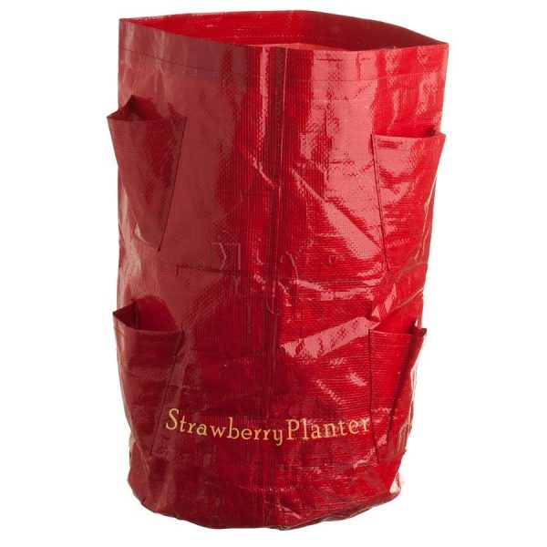 Plant Bag